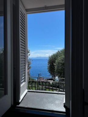 marechiaro ibiscus Napoli